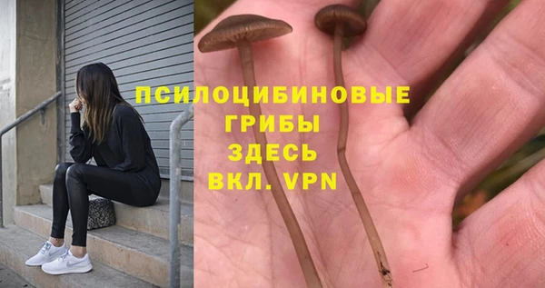 героин Алзамай